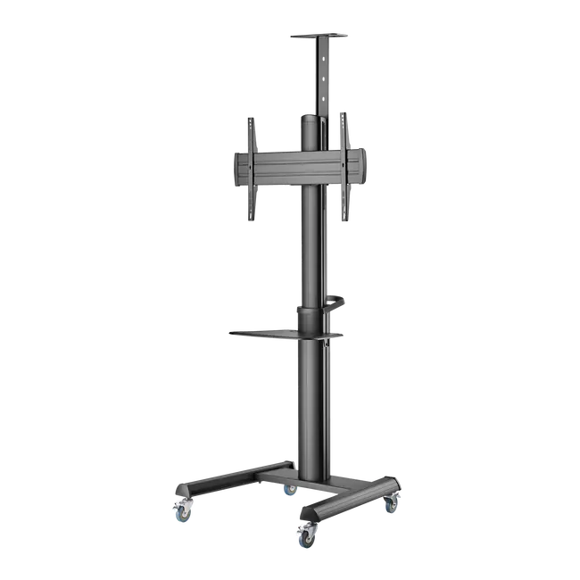 STALAK SBOX Podni FS-446-2 (37-70"/70kg/600x400)