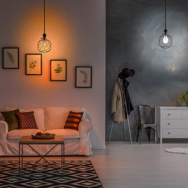 TELLUR SMART WIFI FILAMENT BULB E27, 6W, WHITE/WARM, DIMMER