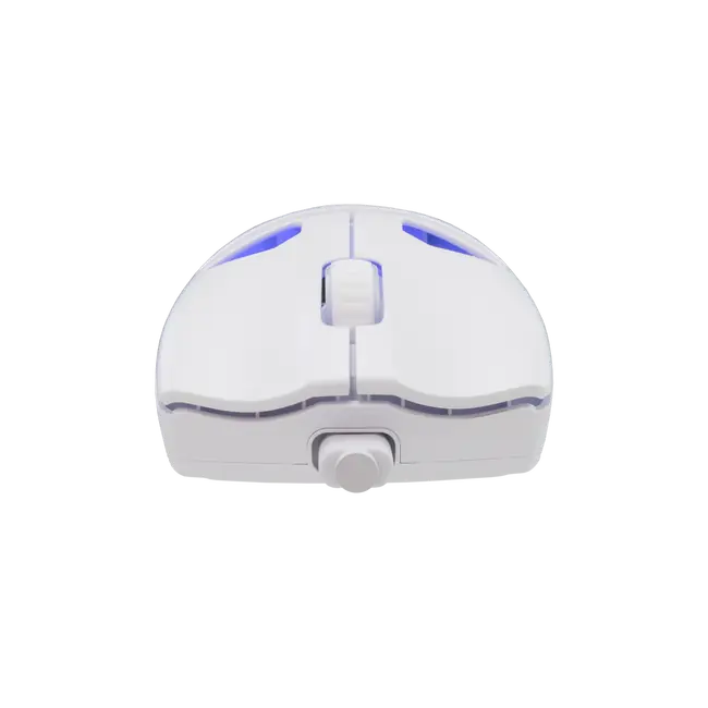 White Shark MIŠ WGM-5019 DAGONET / 24.000 DPI - Bijeli / Wireless