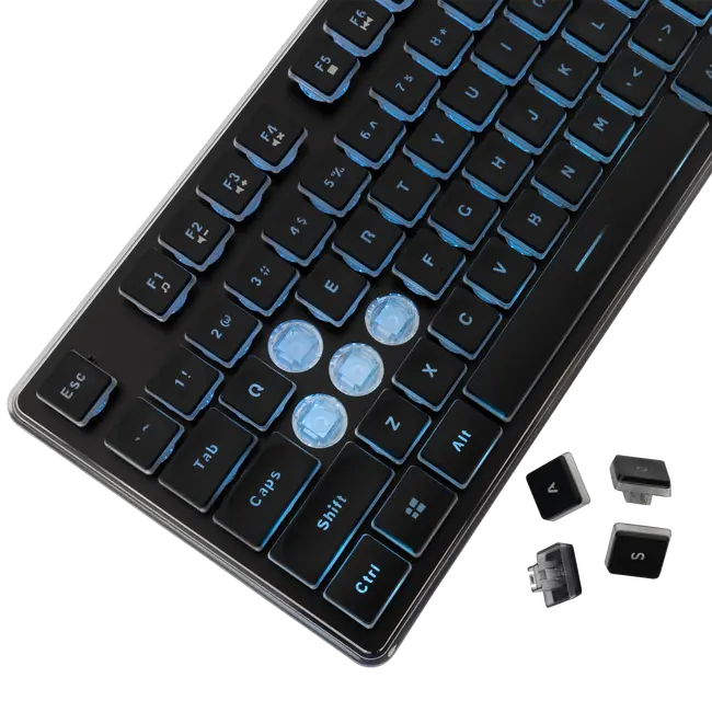 White Shark GK-003141 TACHI Keyboard - Black / US