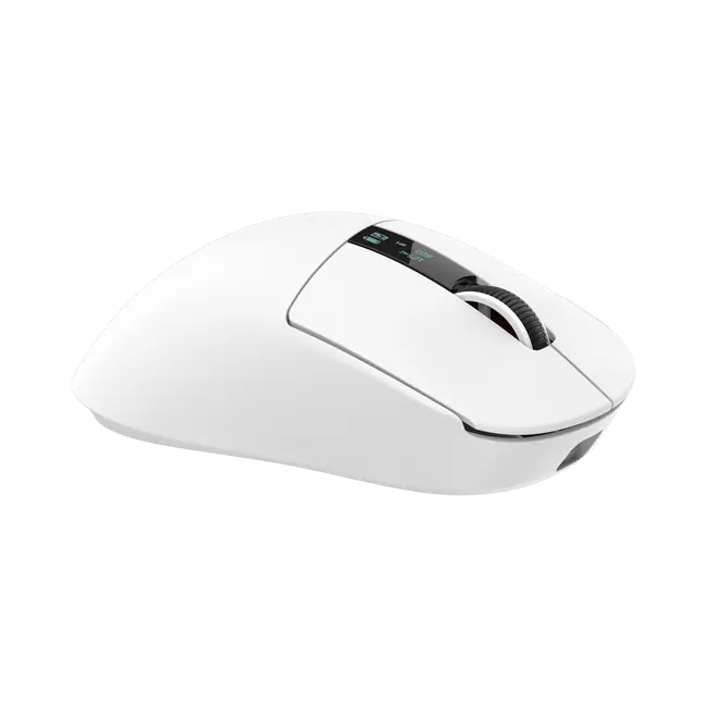 White Shark MIŠ WGM-5023 GAWAIN / 12.000 DPI - Bijeli / Wireless