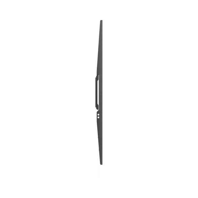 STALAK SBOX Budget BL-3869F (50-100"/75kg/900x600)