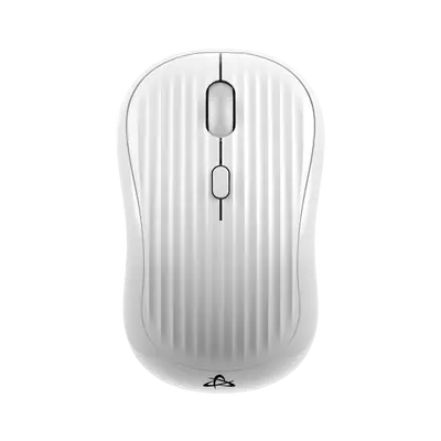 Bijeli